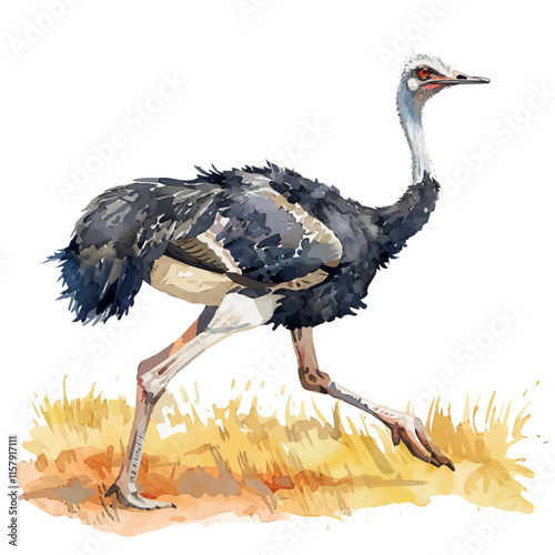 A striking portrayal of an ostrich in its natural habitat, showcasing its unique features and stature.


