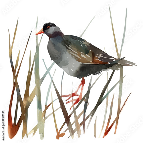 A tranquil portrayal of a moorhen perched on reeds, capturing its unique features and wetland habitat.

