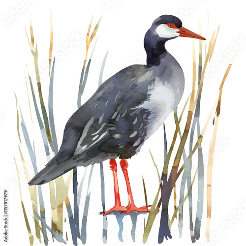 A tranquil portrayal of a moorhen perched on reeds, capturing its unique features and wetland habitat.

