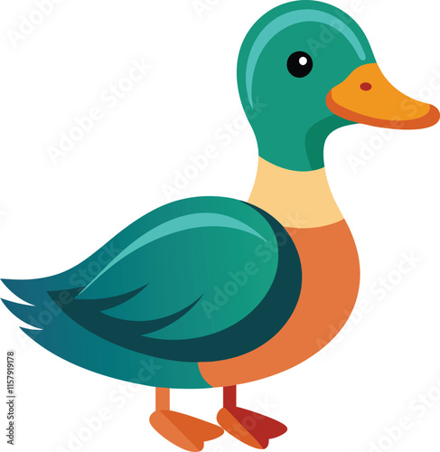 illustration of a duck. Vector illustration sweeming and standing pond birds isolated