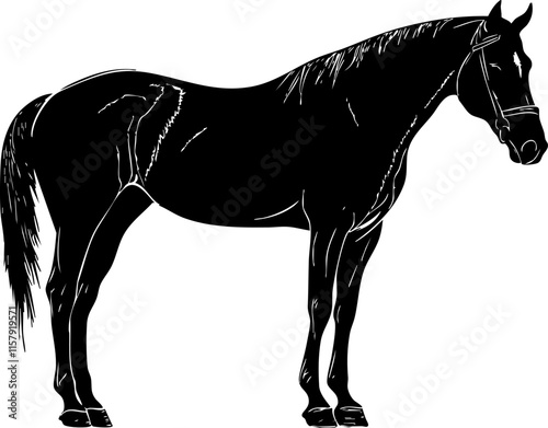 Silhouette of a horse in black, showcasing its elegant outline. photo