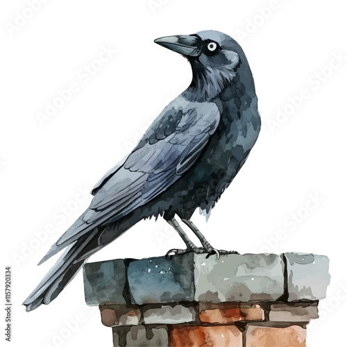 A watercolor vector painting of a jackdaw perched on a chimney, isolated on a white background. Jackdaw vector.

