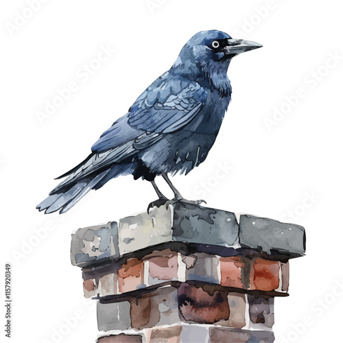 A watercolor vector painting of a jackdaw perched on a chimney, isolated on a white background. Jackdaw vector.

