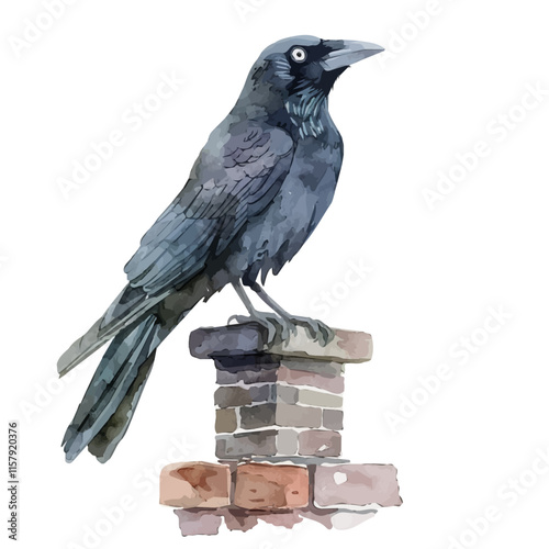 A watercolor vector painting of a jackdaw perched on a chimney, isolated on a white background. Jackdaw vector.

