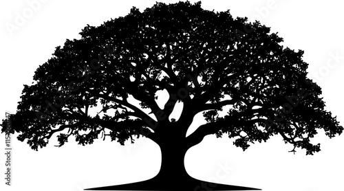 Silhouette of a large oak tree with detailed branches and leaves.