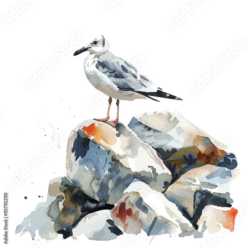 A watercolor vector painting of a gull chick exploring a rocky shore, isolated on a white background. Gull vector.