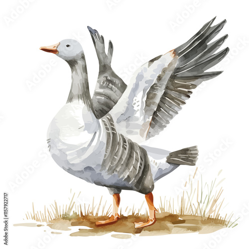 A watercolor vector painting of a goose flapping its wings, isolated on a white background. Goose vector.
