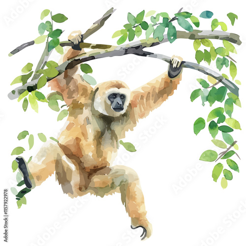 A watercolor vector painting of a gibbon swinging from tree to tree, isolated on a white background. Gibbon vector.