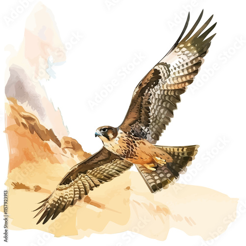 A watercolor vector painting of a falcon soaring above a desert, isolated on a white background. Falcon vector.