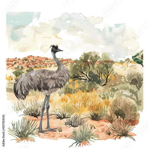 A watercolor vector painting of an emu wandering in the Australian outback, isolated on a white background. Emu vector.