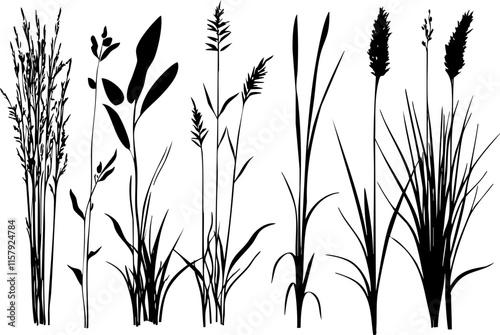 Silhouette of various grass and plant types in black on white background.