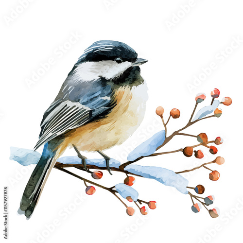 A watercolor vector painting of chickadee perched on a snowy branch, isolated on a white background. Chickadee vector.

