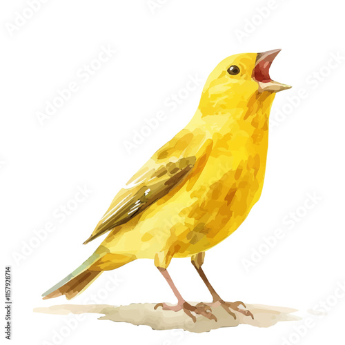 A watercolor vector painting of canary singing in a sunny room, isolated on a white background. Canary vector.

