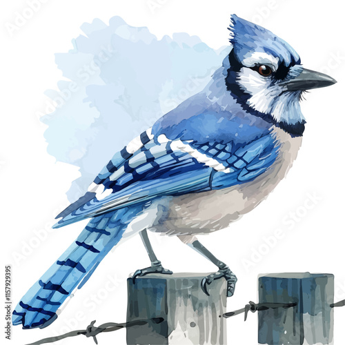 A watercolor vector painting of blue jay perched on a fence, isolated on a white background. Blue jay vector.

