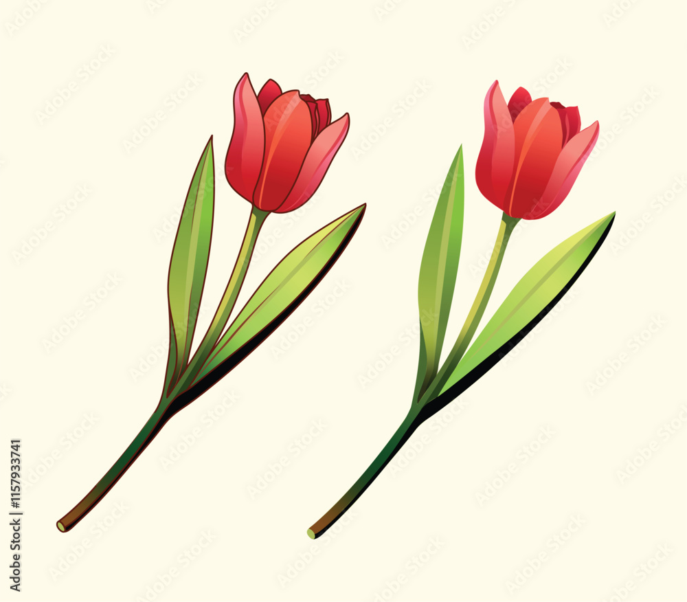 flower tulip vector hand-drawn illustration greeting wedding card spring color book 