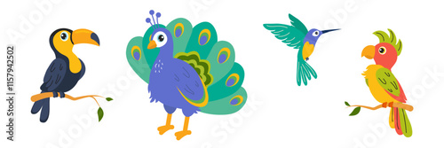 Colorful illustrations of exotic birds on branches in a whimsical style