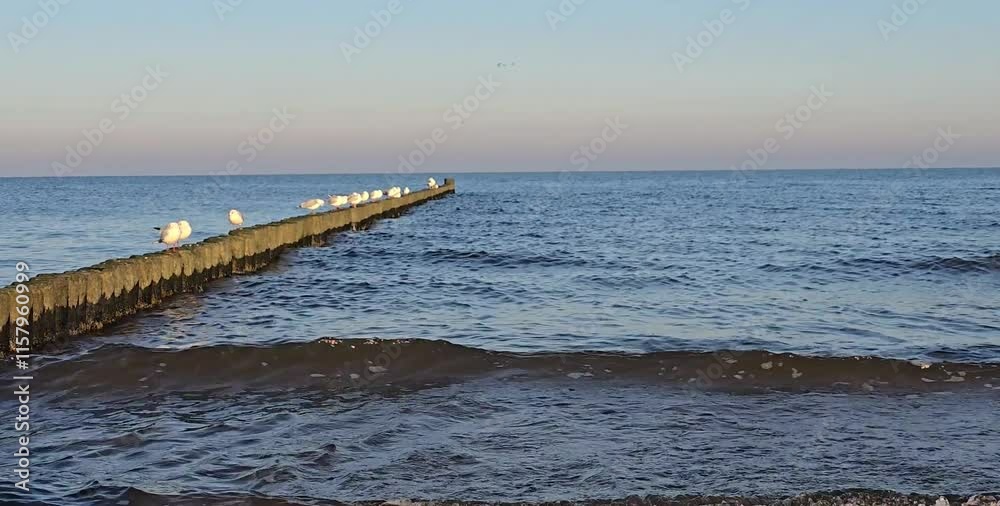Dünenpromenade Seebad Loddin an der schönen Ostsee Usedom Dünenpromenade Seebad Loddin an der schönen Ostsee Usedom