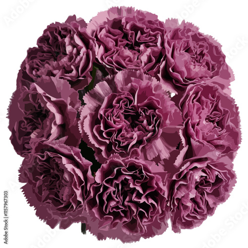 Vector Mauve pink carnation bouquet element subtle scent of fresh eugenol cinnamon cloves and nutmeg isolated on transparent background 