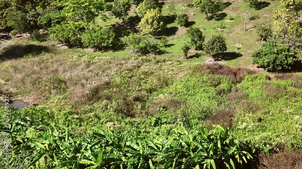 Lush Green Landscape: A verdant landscape unfolds, showcasing the beauty of nature's artistry. Lush green foliage, a cascading hillside. Lush Green Landscape: A verdant landscape unfolds, showcasing the beauty of nature's artistry. Lush green foliage, a cascading hillside.