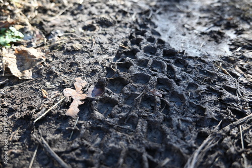 Close up of mountain bike tire track in mud