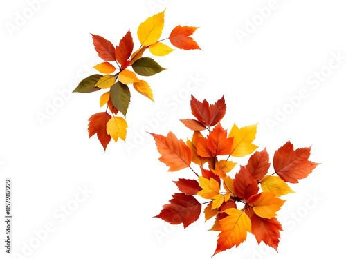 Autumn Fall Wreath Made With Leaves on transparant backgrounf