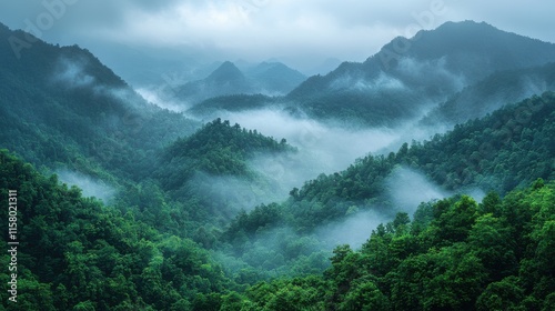 landscape green mountains forest with rain fog at doi chang chiang rai thailand