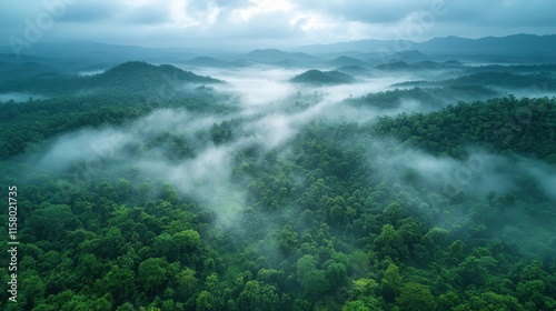 landscape with the heavy fog on chang suek hill the border between thailand myanmar near etong village thongphaphum district kanchanaburi city thailand