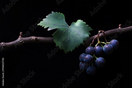 A mature grapevine with its foliage photo