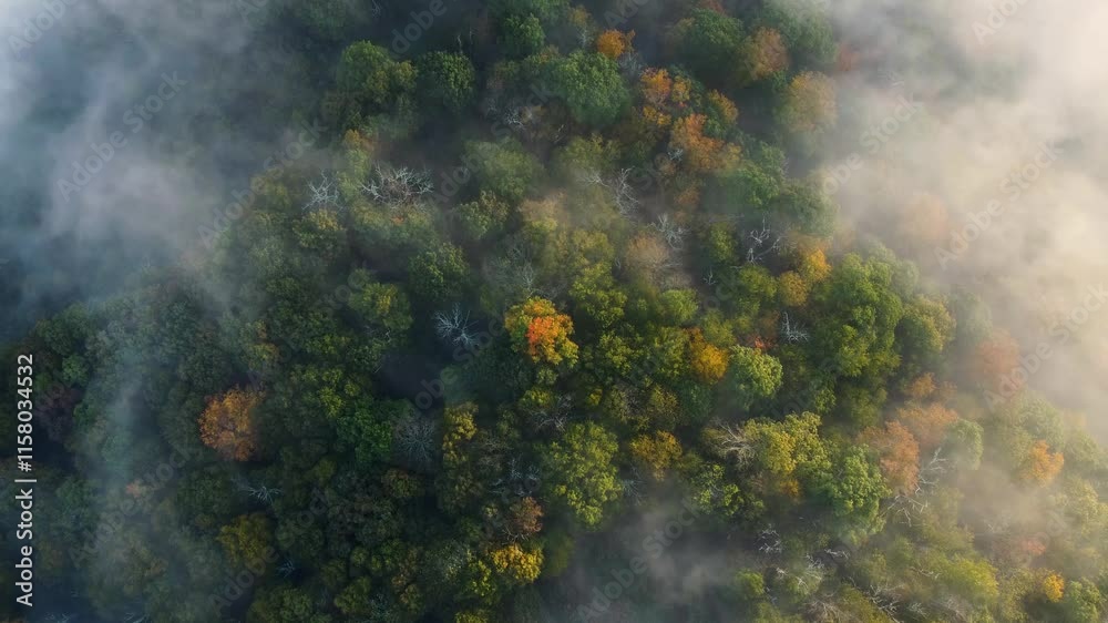 Morning Sunrise over Mountain in West Virginia with Fog