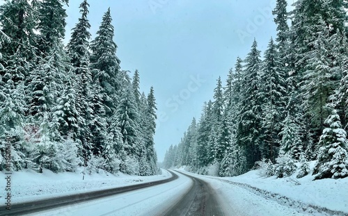 Snowy Windy Road