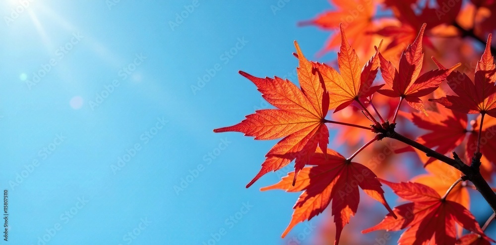 Bright flowers of the maple tree against a blue sky, fall flowers, foliage, spring Bright flowers of the maple tree against a blue sky, fall flowers, foliage, spring