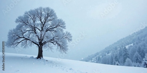 Wallpaper Mural The branches of a snow-laden tree stretch towards the grey sky, frosty, mountainous, snowflakes Torontodigital.ca