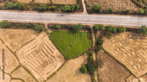 Countryside road with green farmland, Aerial view of rural farmland and road, Vibrant green farm alongside highway, Drone view of agriculture and highway, Scenic rural landscape from above stock photo photo