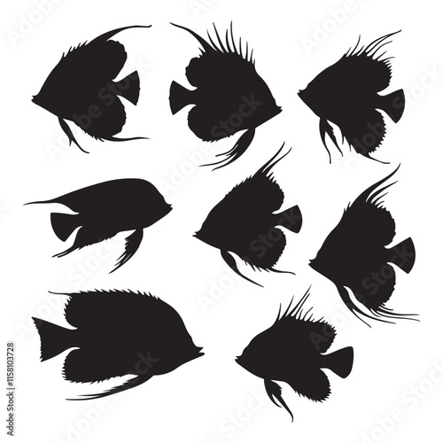 Silhouettes of various angelfish.