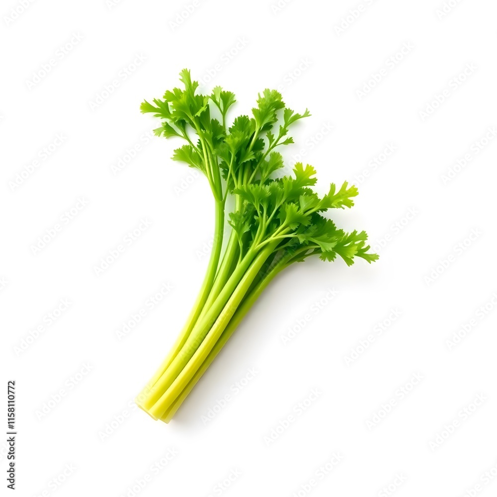 celery root Fresh celery stalks, vibrant green leaves, crisp vegetable, organic produce, white background celery root Fresh celery stalks, vibrant green leaves, crisp vegetable, organic produce, white background