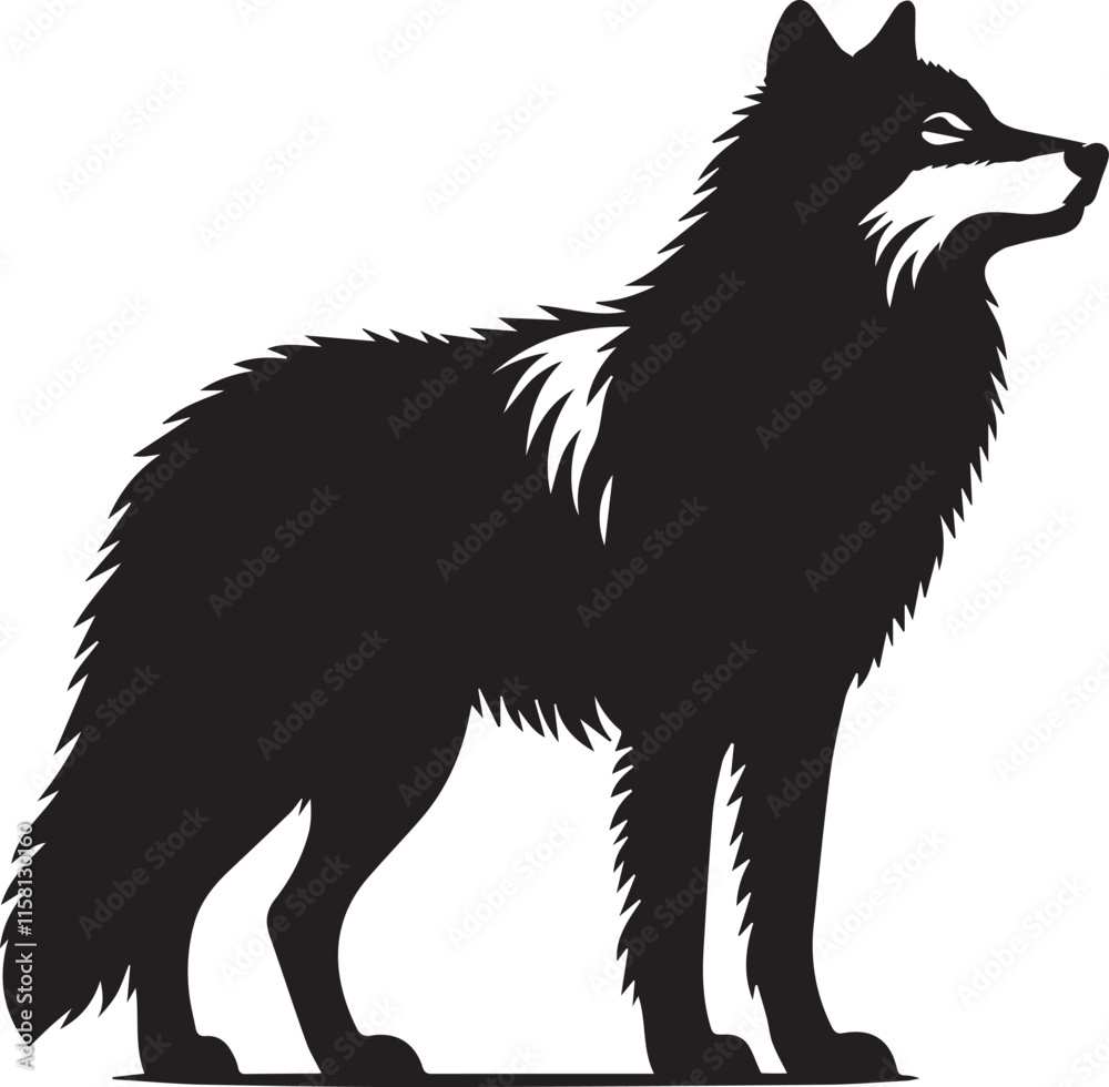 Fototapeta premium Black and white wolf