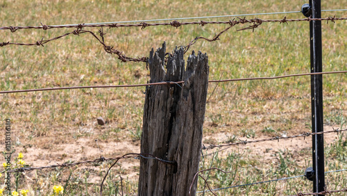 Fotografie old fence post and barbed wire
