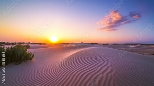 Sunset over the Desert Dunes: A Serene Landscape