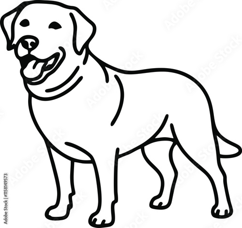 Labrador Retriever dog line vector illustration  white background