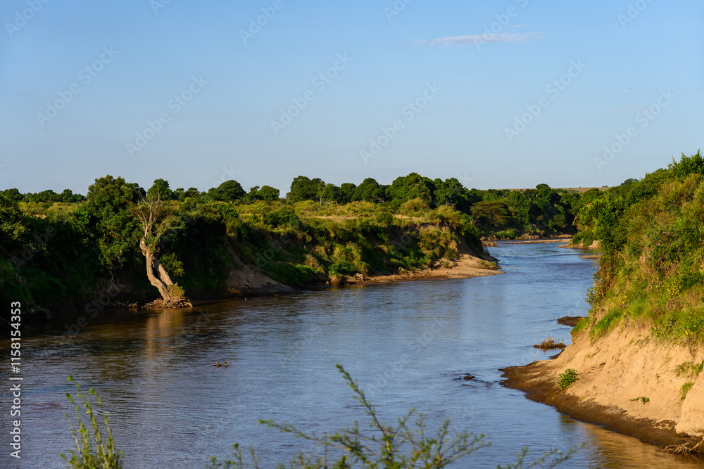 Fototapeta premium Beautiful Mara River in warm evening light, Maasai Mara National Reserve, African adventure safari game drive in Kenya 