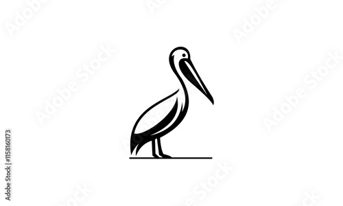 illustration of a pelican