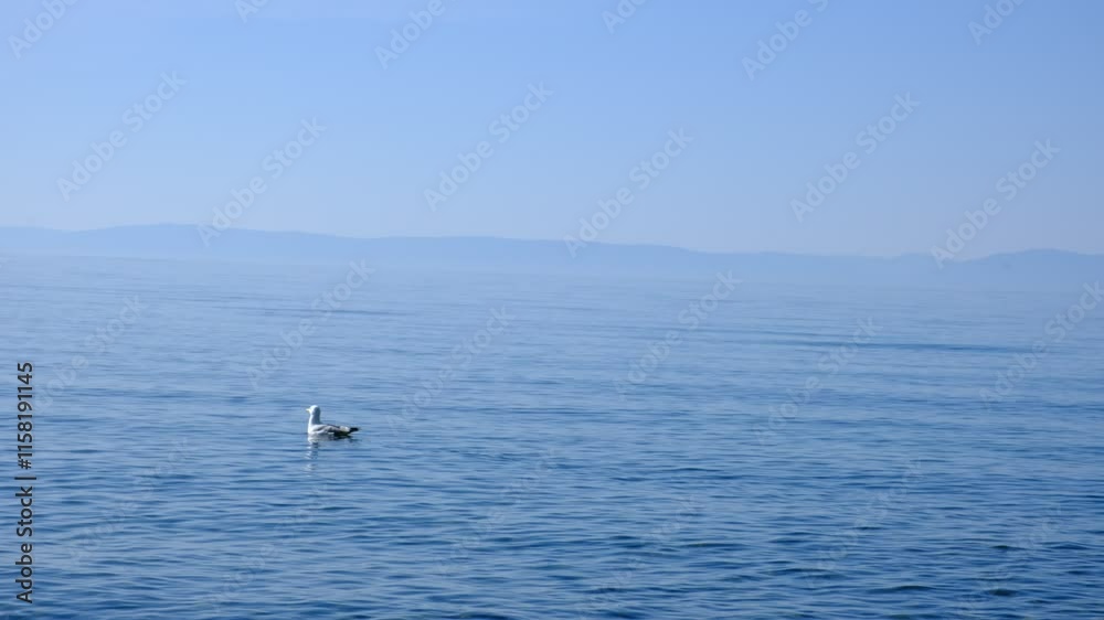 Calm open sea, tranquil ethereal view. Empty template for text. Harmony, relax, meditating and mental health concept. Dreamy scenery Calm open sea, tranquil ethereal view. Empty template for text. Harmony, relax, meditating and mental health concept. Dreamy scenery