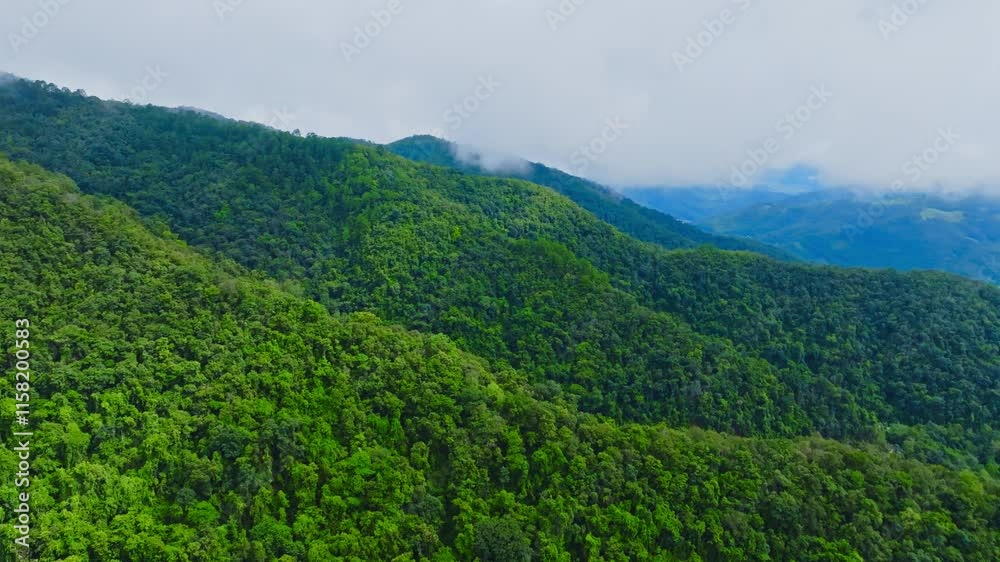 Explore the lush green mountains with vibrant waters and breathtaking aerial views of untouched nature Explore the lush green mountains with vibrant waters and breathtaking aerial views of untouched nature