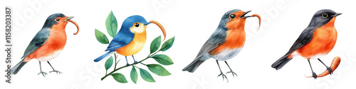 First day of spring element, Colorful birds with worms, perfect for nature lovers and art, isolated on transparent background. photo