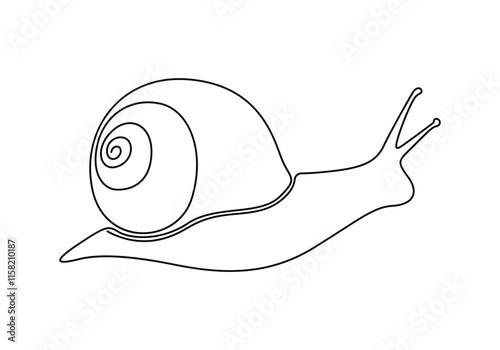 Continuous single line drawing of conch snail shell. Seashell symbol and banner of beauty spa and wellness salon in simple linear style. Vector illustration