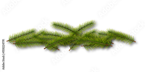 Set of green spruce Christmas tree branches isolated on white background