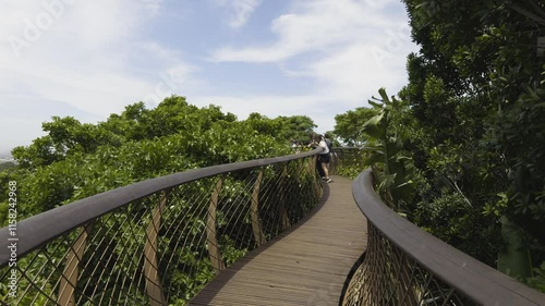 Tree top canopy walk for looking at amazing beauty of landscape of Kirstenbosch National Botanical Garden in Cape Town, South Africa.