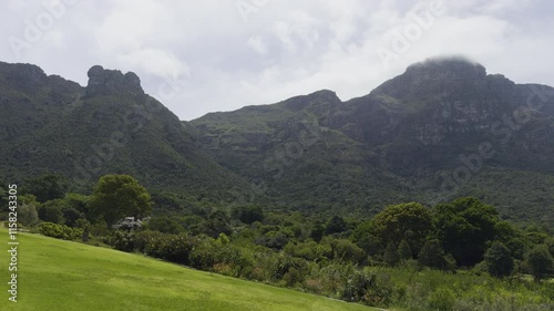Wide angle view revealing of mountains and dense trees at Kirstenbosch National Botanical Garden in Cape Town, South Africa.