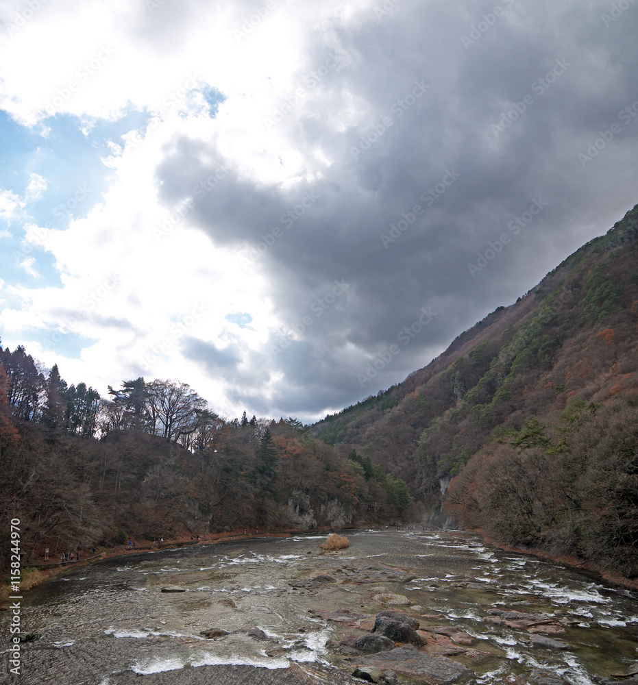 Mountain river rapids and autumn forest on the mountain Mountain river rapids and autumn forest on the mountain