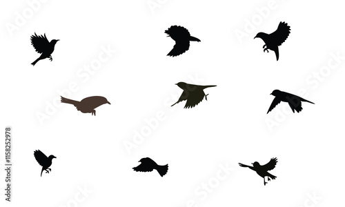 Flying White Eye Bird Silhouette Design  And Vector Illustration. 